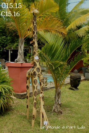 C15.15 GIRAFE 0.55 cm et C15.16 GIRAFE 1.80 m